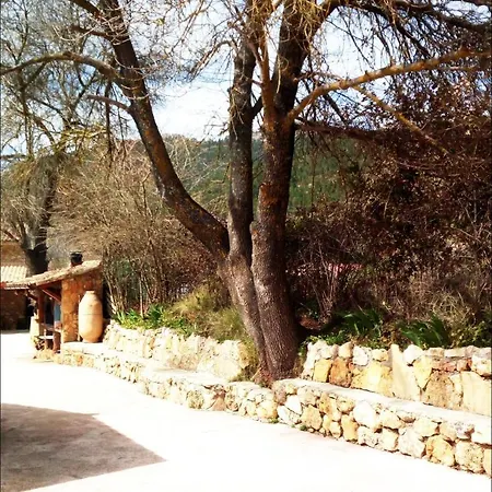 Picos Del Oso *
