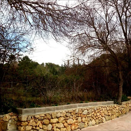 Picos Del Oso