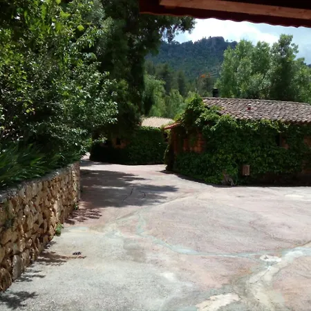 Picos Del Oso